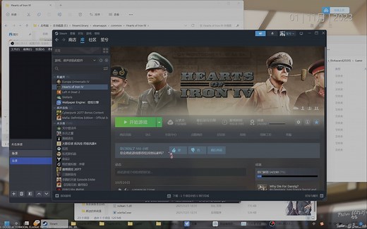 求助！p社启动器出现“couldn't start launcher”报错