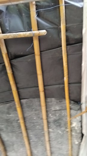 49K views · 4.1K reactions | El techo funcionó | William E. Porter | Facebook