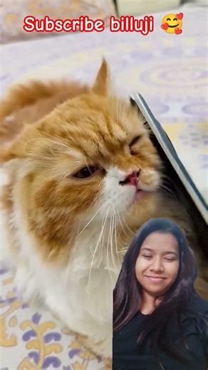 qaj maalik ne liya billuji se badla😁😂😂🥰❤️❤️ #viralvideo #comedy #viral #funny #trending #shorts