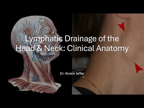Lymphatic Drainage of the Head and Neck: Clinical Anatomy