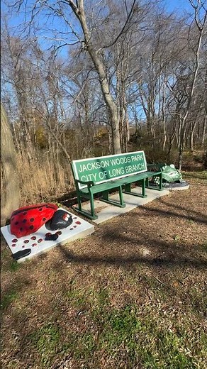 A Pleasant Walk in the Wood Vlog