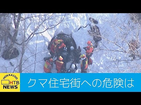 クマの巣穴に子グマ２頭発見 母グマはどこへ？