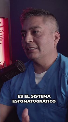 Dentistry: Discover the Stomatognathic System #entrepreneurship #podcast #dental health