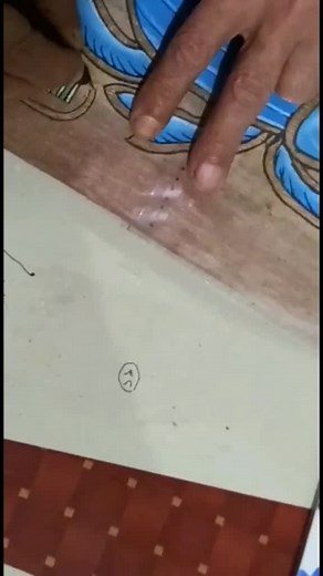 SaiedPapyrusArt على TikTok