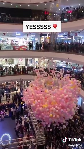 Celebration Fun with Balloon 🎈