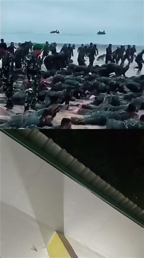 This is the Kopassus special forces training that is feared by the world #shortvideo