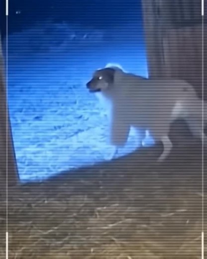 Meme Templates on Instagram: "New meme template 😎 Comment your Examples 🗿 Checkout Viral templates : @template_posting Ott templates : @meme.templatesott Holly + Edit templates : @riyaltemplate South + bolly templates : @riyaltemplate.official for more . . ⚠️⚠️⚠️ Disclaimer: NO COPYRIGHT INFRINGEMENT INTENDED! All Credit goes to the respective owners. FAIR USE: Copyright disclaimer under section 107 of the copyright act 1976. Allowance is made for “fair use” for purposes such as criticism, com