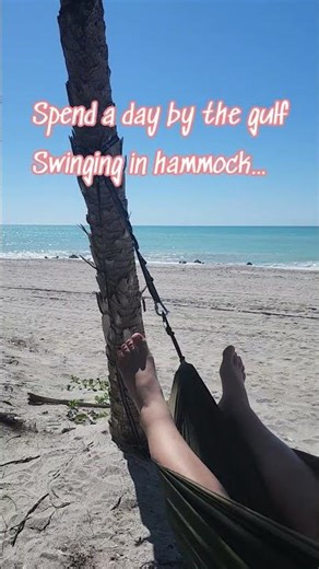 Why People Move to Venice, Florida… and Never Leave 🌊