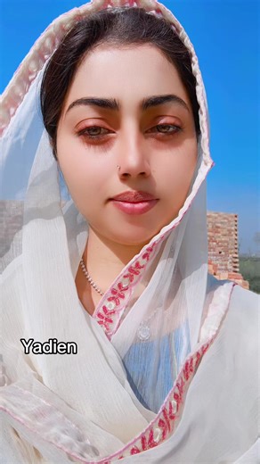 nazneen.khanofficiall (@nazneen.khanofficiall)’s videos with original sound - Sundas Zaheer(Mano Salwa)