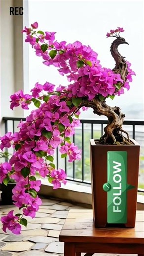 Turning Trees Into Living Art 🌿✨ #bonsai #art #nature #satisfying