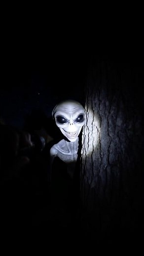Scary Alien Encounter In Back Yard At Night