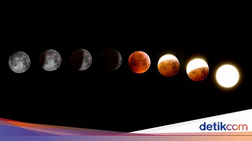 6 Cabang Ilmu Sains Lengkap dengan Pengertiannya