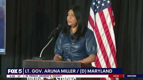 Key Scott bridge collapse: New designs unveiled