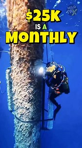 49K views · 480 reactions | The Million-Dollar Job of Underwater Welding! #reels #welding #underwater #sea #occean #oilrig #oil #welder #job #work #salary #milliondollar #million #dollar #diving #diver | MiloPax | Facebook