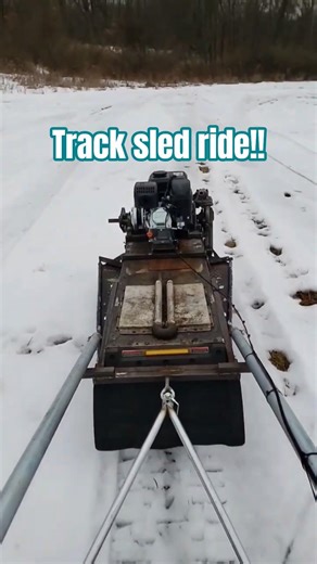Track Sled ride on slush. (snow dog)