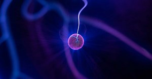 Et si l’espace-temps était doté d’une mémoire ? La théorie qui pourrait absolument tout bouleverser