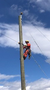 2.1K views · 90 reactions | We’re grateful for our field crews that maintain our electrical equipment and infrastructure across Nova Scotia every day—ensuring power is safely delivered across our 32,000 km of lines. In this video, a team of power line technicians are completing a line extension for a new customer in Purcells Cove—all while staying safe and practicing physical distancing. | Nova Scotia Power | Facebook