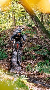 5.1K views · 53 reactions | The newly reworked “Magic Carpet” is now...