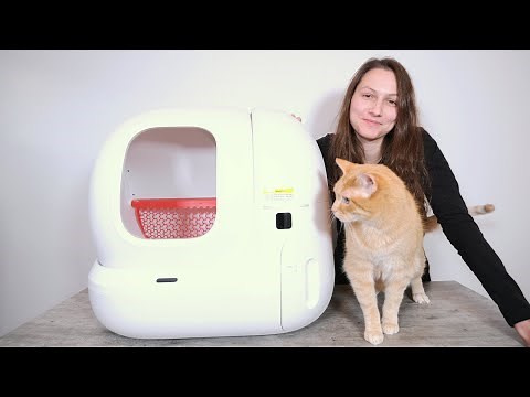 Petkit Pura Max Review: A $299 Leaky Mess?