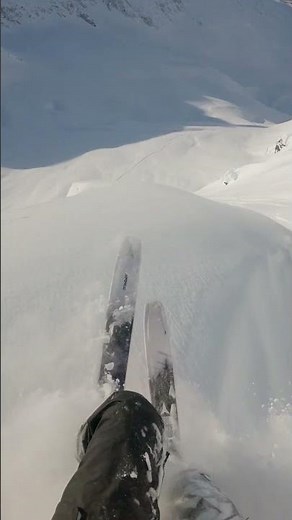 When the Line Breaks: Sage vs. Avalanche ⚠️