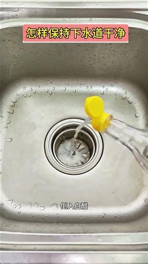 Revolutionize Your Cleaning: Master the Sink & Drain Trick