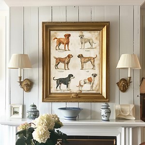 Vintage Dog Breeds Illustration Printable Wall Art, Antique French Dog Engraving Art, Gallery Wall Decor, 18th Century Dogs Zoological Print - Etsy
