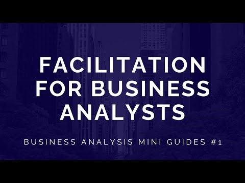 Business Analysis Mini Guide #1: Facilitation For Business Analysts - Book Trailer 2025
