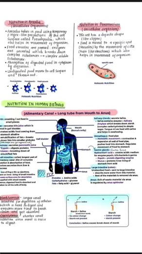 life process class 10th notes please like and subscribe