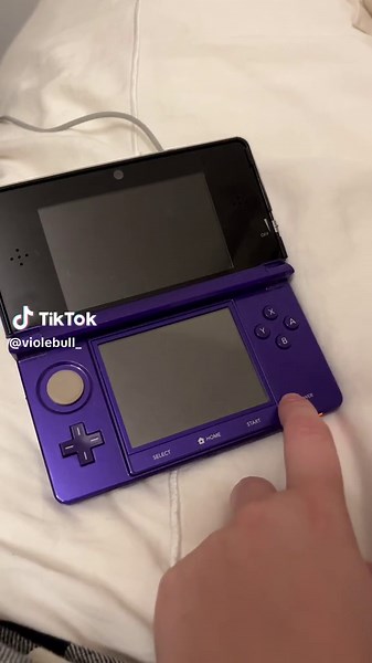 Recuerdo a Mis Perros de Nintendo Después de 15 Años | Nintendogs