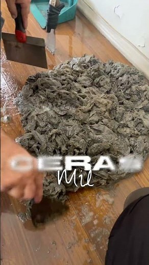 ✅ Como limpar piso laminado? Ceras Mil mostra!