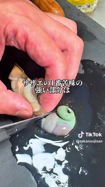 サザエ苦いって思ってない？#魚 #さかな #asmr #おつまみ #晩酌 #tiktokレシピ #サザエ#CapCut #刺身