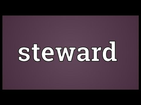Steward Meaning