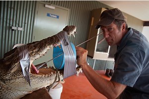 What Does 'Hard Work' Look Like? Read Mike Rowe's Epic Takedown of an MSNBC Anchor's Controversial Comment.