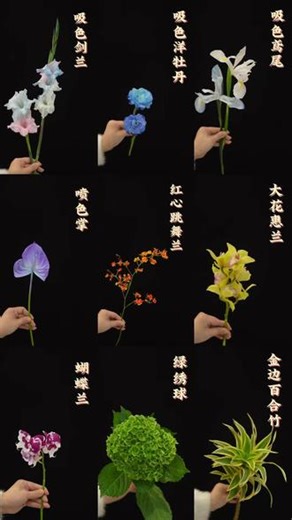 · 形态是花的语言。静下心来，读懂它的每一句诗。· 线条、块面、面状、异型、雾状…花艺，本就是一场视觉的立体构成。· 高级感花束的底层逻辑：源于对形态的精准掌控。#花艺培训 #重庆花艺培训 #花艺培训学校推荐 #小白学花艺 #花材形态
