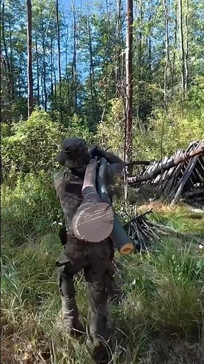 Building a Bushcraft Shelter in the Forest 🌲 | Survival Camp Short ASMR