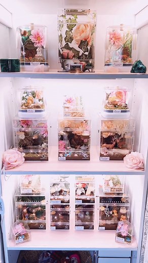 DIY Jumping Spider Enclosures: Crafty Pet Spider Setups