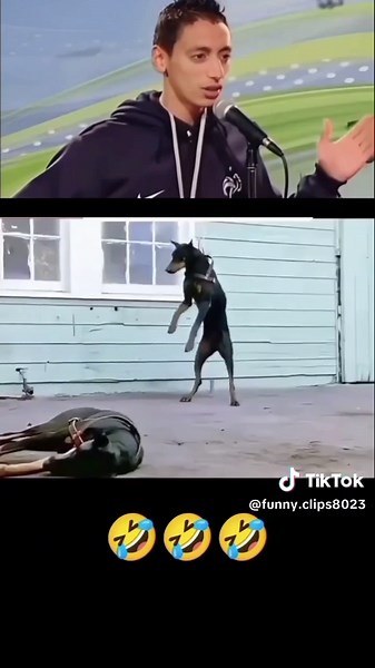 #viraltiktok #funnyvideo🤣🤣😅 | Funny Video