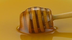 **NEW FLAVOR ALERT** Get ready to turn up the heat on your beverage and culinary creations with Monin Hot Honey Syrup! Visit flavoroftheyear.com to learn more. | MONIN | Facebook