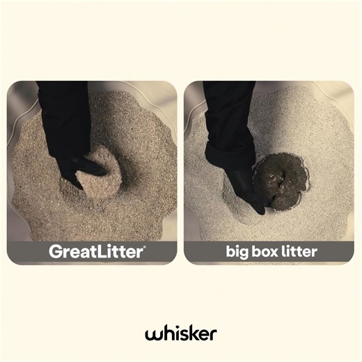 53K views | GreatLitter® is the best litter for Litter-Robot—its quick-clumping formula is ideal for litter-sifting technology and results in the best odor-control cat litter. | Litter-Robot by Whisker | Facebook