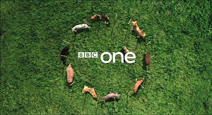 BBC One Idents Dogs