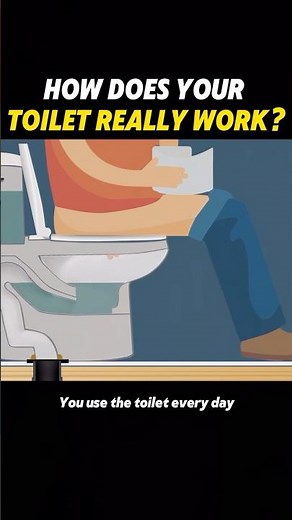 How does your toilet really work #science #knowledge #toilet