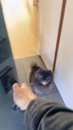 Tyler hynes (@tylerhynes)’s videos with original sound - Tyler hynes