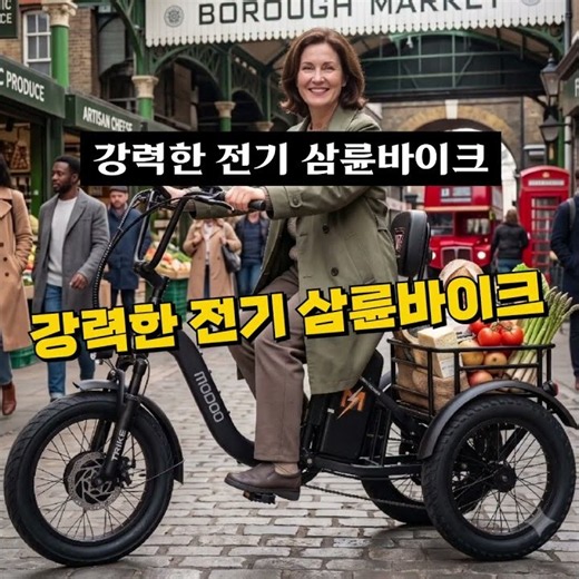 삼륜 세발 전기자전거 추천! 부릉이 트라이크 카고 TRIKE CARGO 48V 25AH 500W