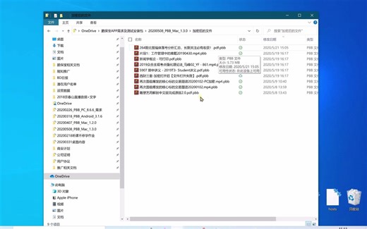 windows系统阅读pbb文件的方法