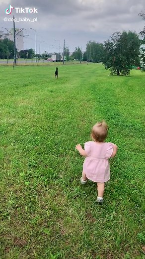 Doberman y bebés: Amigos inseparables