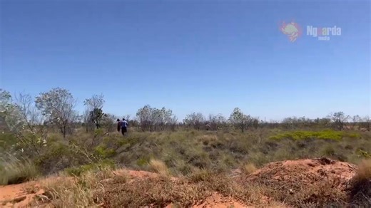 18K views · 88 reactions | Wesley Lockyer - Ngaarda Media | Australian Missing Persons Register | Facebook