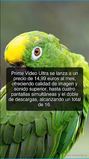 Prime Video Ultra, características y precio del nuevo plan premium de Amazon