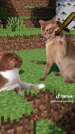 Minecraft Cats: Fun and Cute Moments Compilation