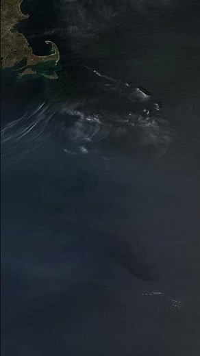 The Gulf Stream Explained America’s Climate Engine