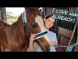 GETTING TO KNOW MY PONY RUSTY